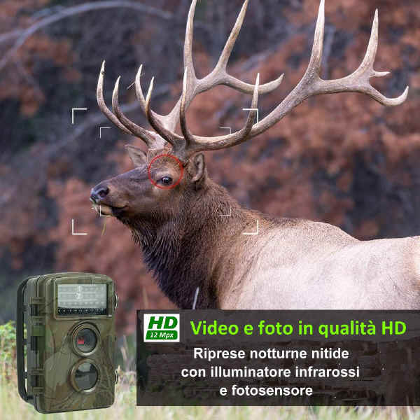 Telecamera fototrappola alta definizione HD 720p 12 Mpx