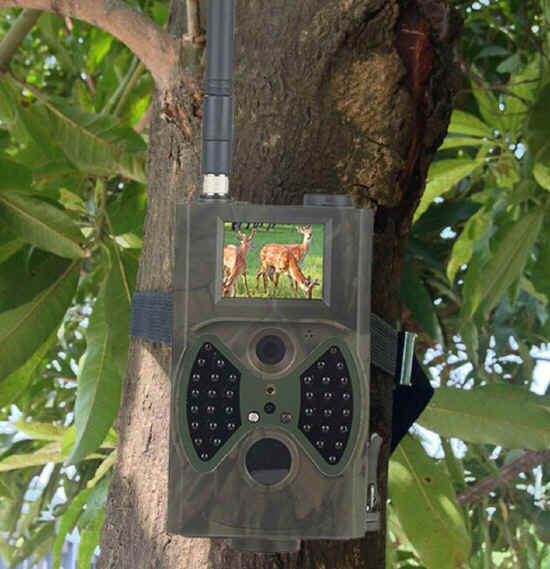 Telecamera mimetizzata agganciata a un albero